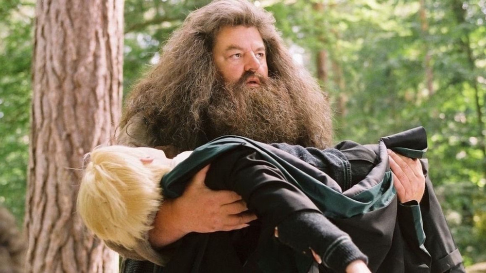 rubeus hagrid carrying draco malfoy