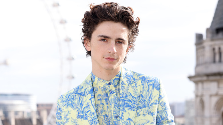 Chalamet smiles at camera on red carpet