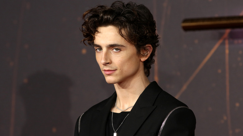 Chalamet looks to side on red carpet