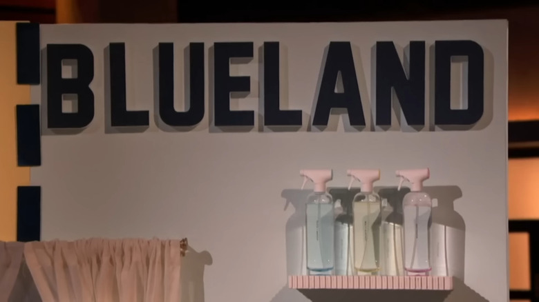 Blueland Product display