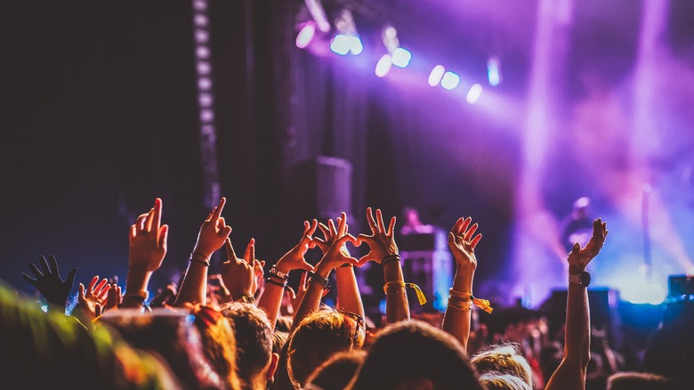 Hands at concert