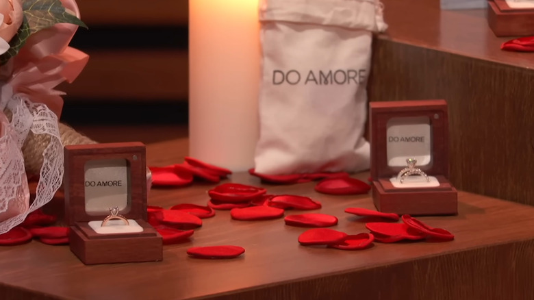 Do Amore display on Shark Tank