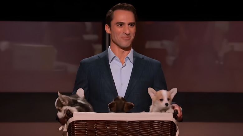 Aaron Hirschhorn holding basket of puppies