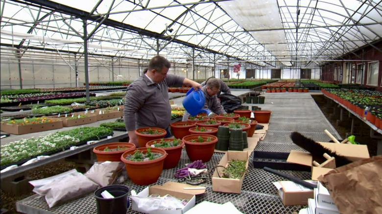 PittMoss workers watering plants