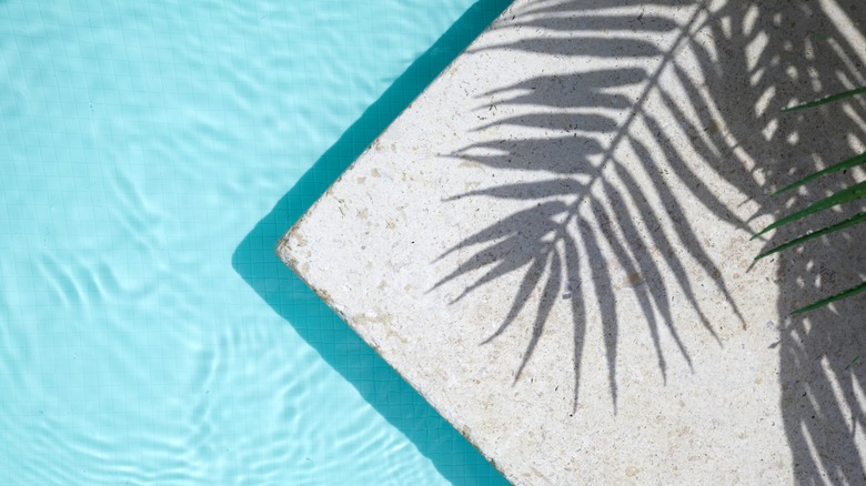 A sharp corner of a swimming pool with the shadow of a palm tree overhead