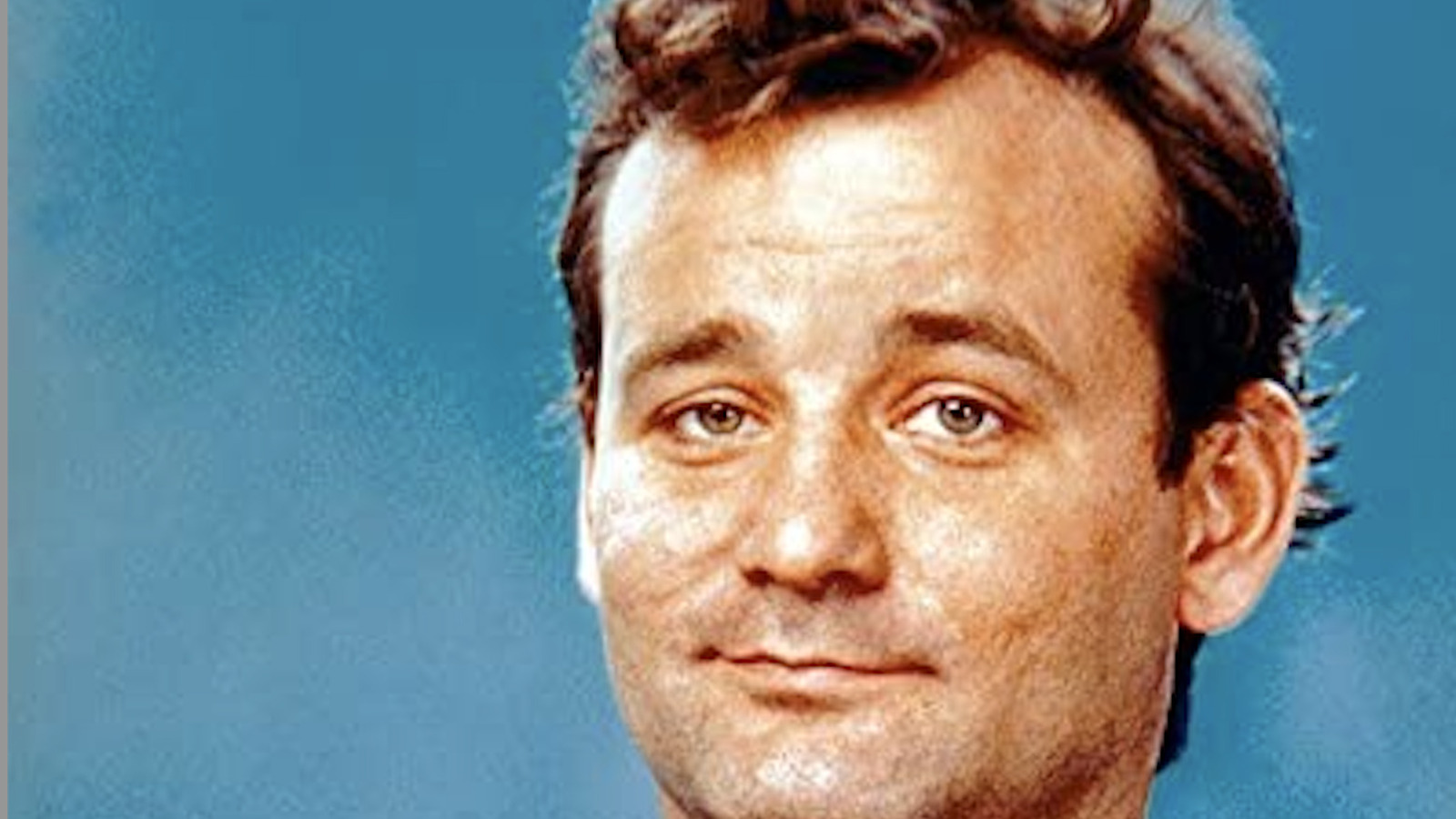 bill murray stripes youre awesome