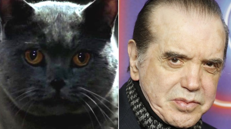 A black cat and Chazz Palminteri in 2021