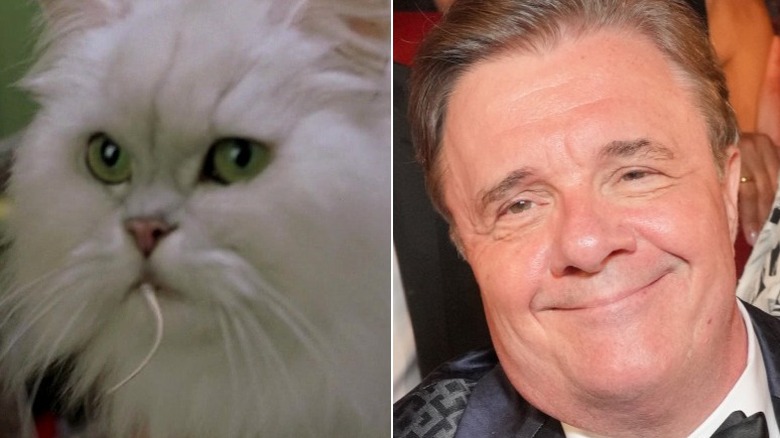 A fluffy white cat and Nathan Lane in 2022