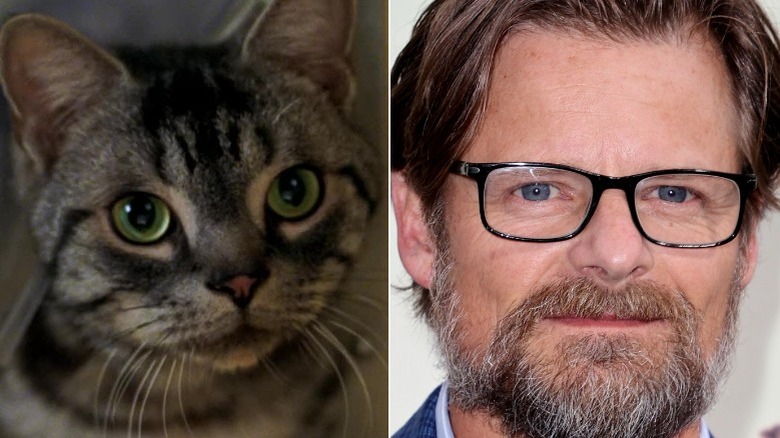 A grey cat and Steve Zahn in 2021