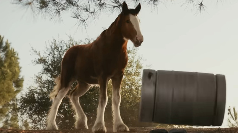 The Clydesdale rolls a keg in the Budweiser Super Bowl ad (2025)