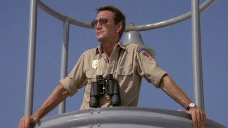 Martin Brody watches over the water in Jaws 2 (1978)