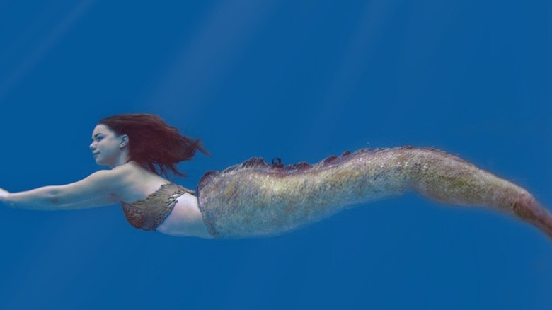 A mermaid swimming in the water