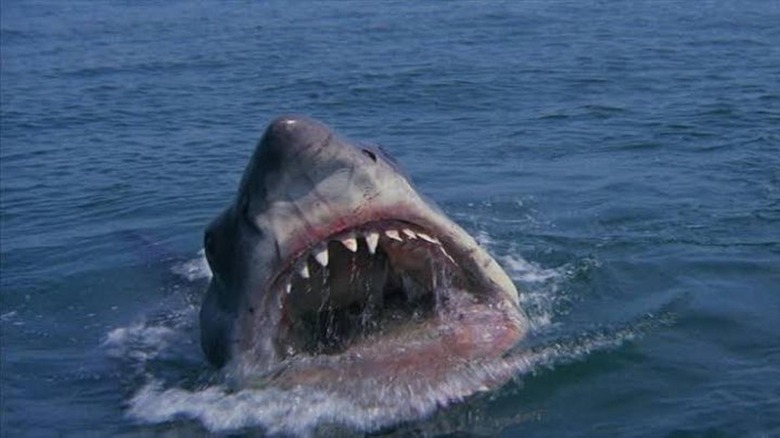 Bruce the shark from Jaws