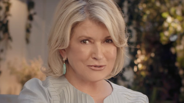 Martha Stewart in BIC EZ Reach commercial