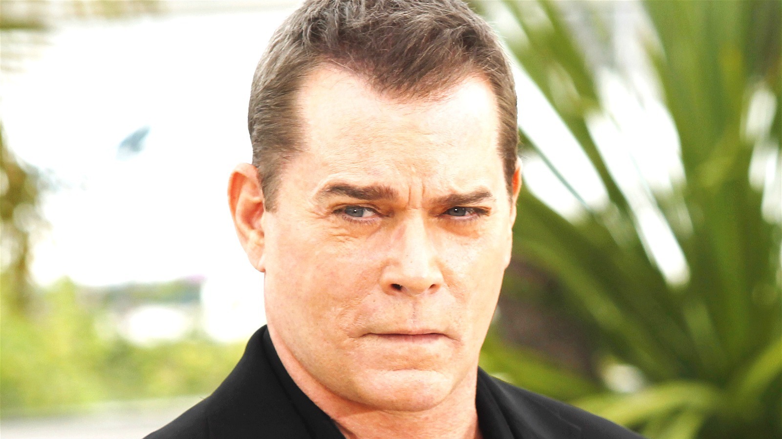 Who Could Ray Liotta Play In The Many Saints Of Newark