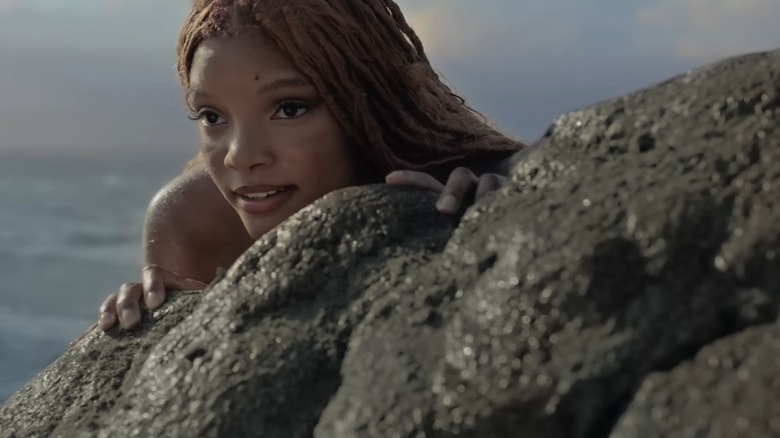 Ariel looking over a rock