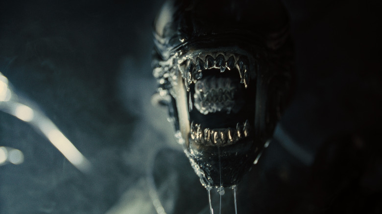 Xenomorph staring dripping saliva