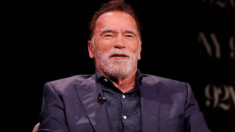 Why Arnold Schwarzenegger Was Detained At Munich Airport