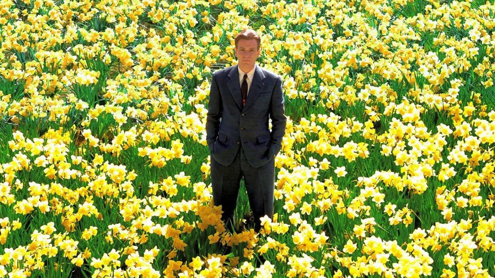 Edward Bloom daffodil field