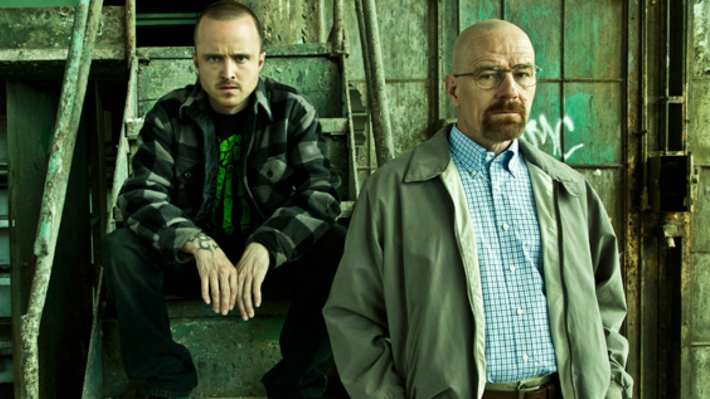 Jesse Pinkman and Walter White.