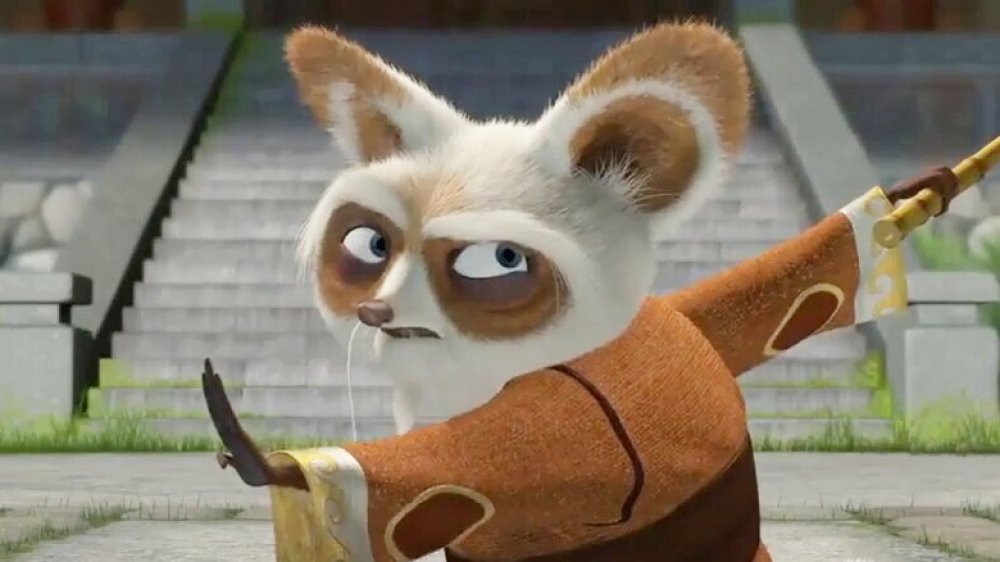 Master Shifu in Kung Fu Panda