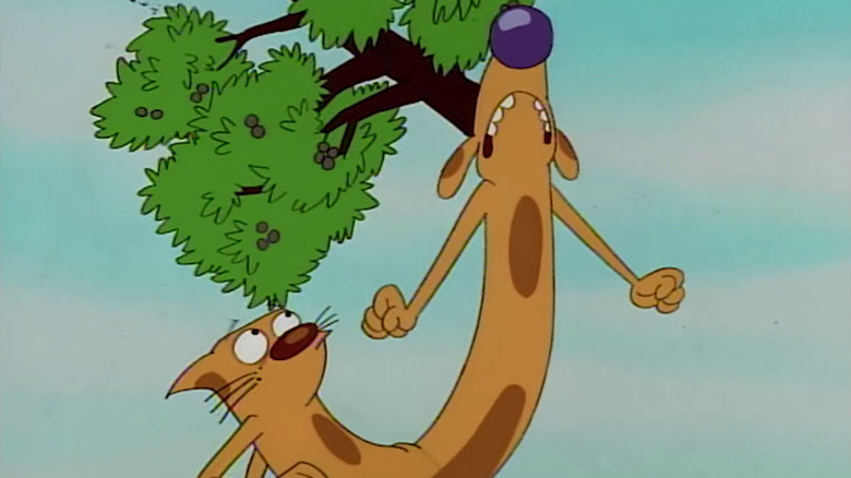 CatDog pecanitis