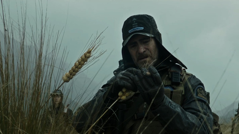 Dan Lope looking at grain