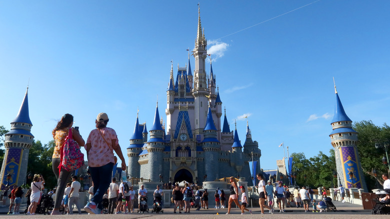 Disney World Cinderella's Castle