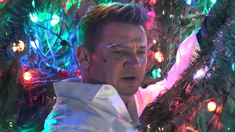 Hawkeye in a Christmas tree