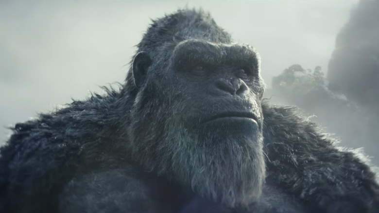 Kong stares amidst fog