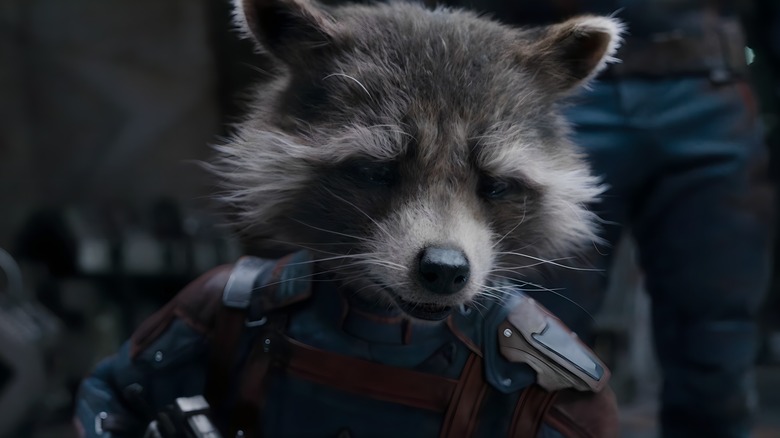 Rocket looks determined