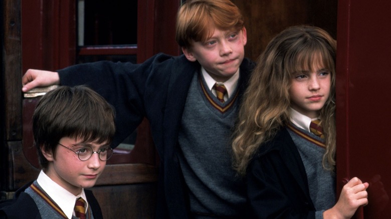 Harry Potter, Ron Weasley, and Hermione Granger in a doorway