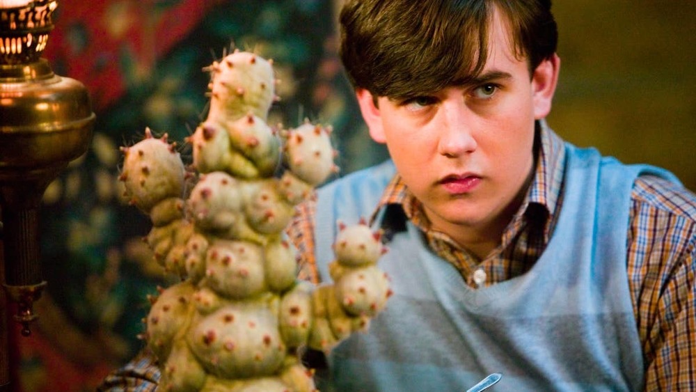 Neville Longbottom with a magical herb