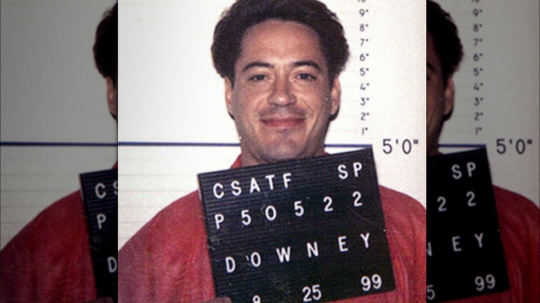 Robert Downey Jr. mugshot