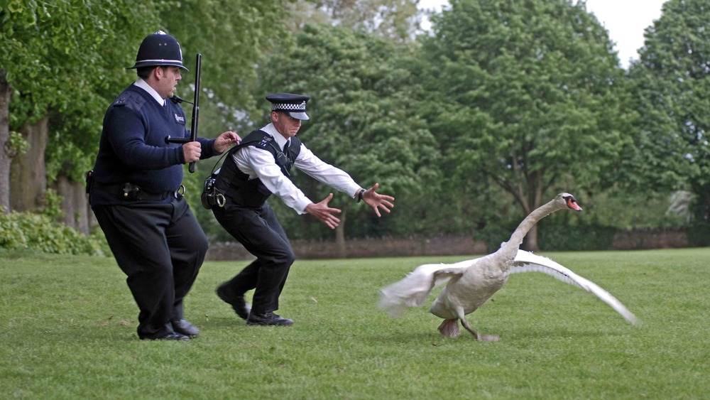 Nicholas Angel and Danny Butterman chasing swan