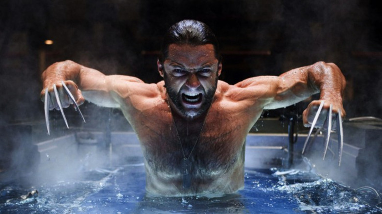 Wolverine emerging from water angry