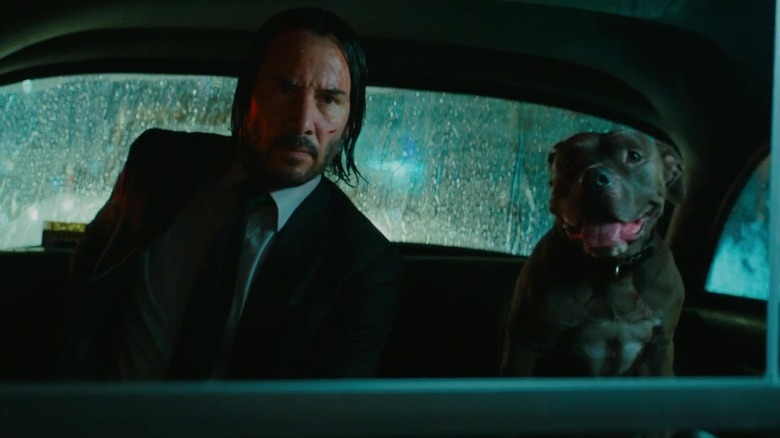 Reeves and dog in "John Wick: Chapter 3 - Parabellum"