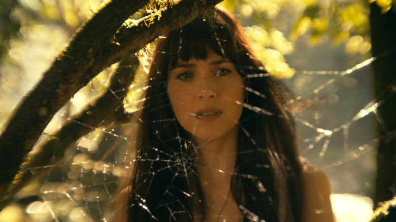 Cassandra Webb examining a spider's web