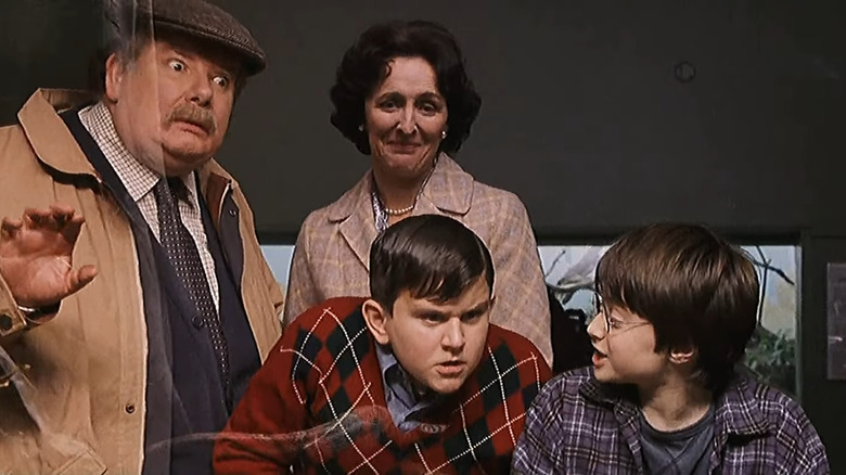 Harry Potter and the Dursleys