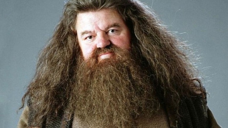 Robbie Coltrane as Reubus Hagrid