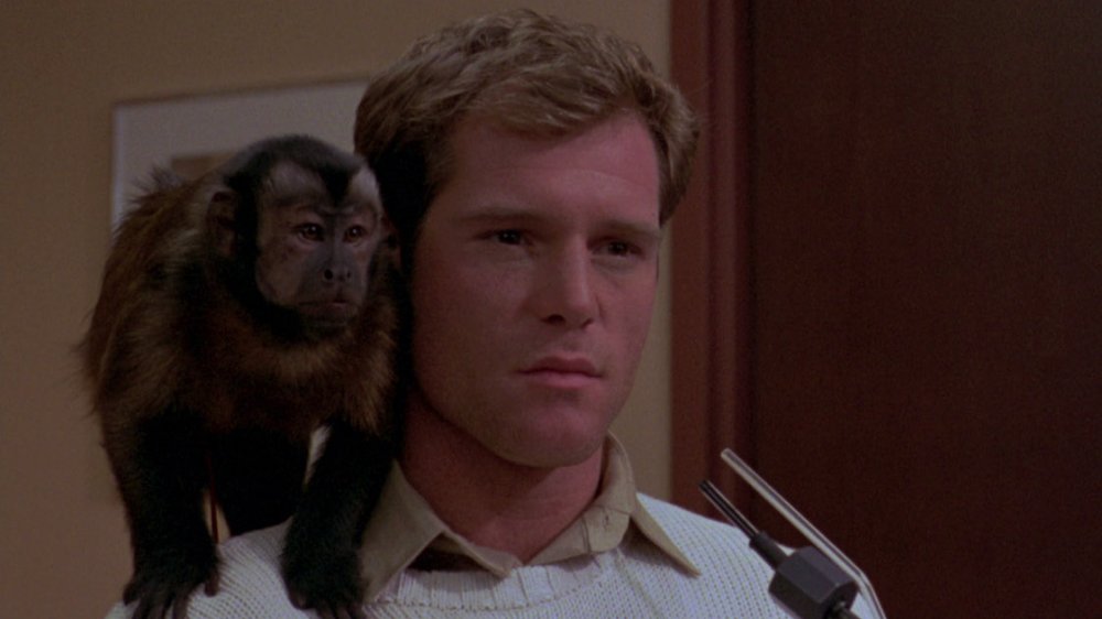 Boo as Ella and Jason Beghe as Allan Man in Monkey Shines