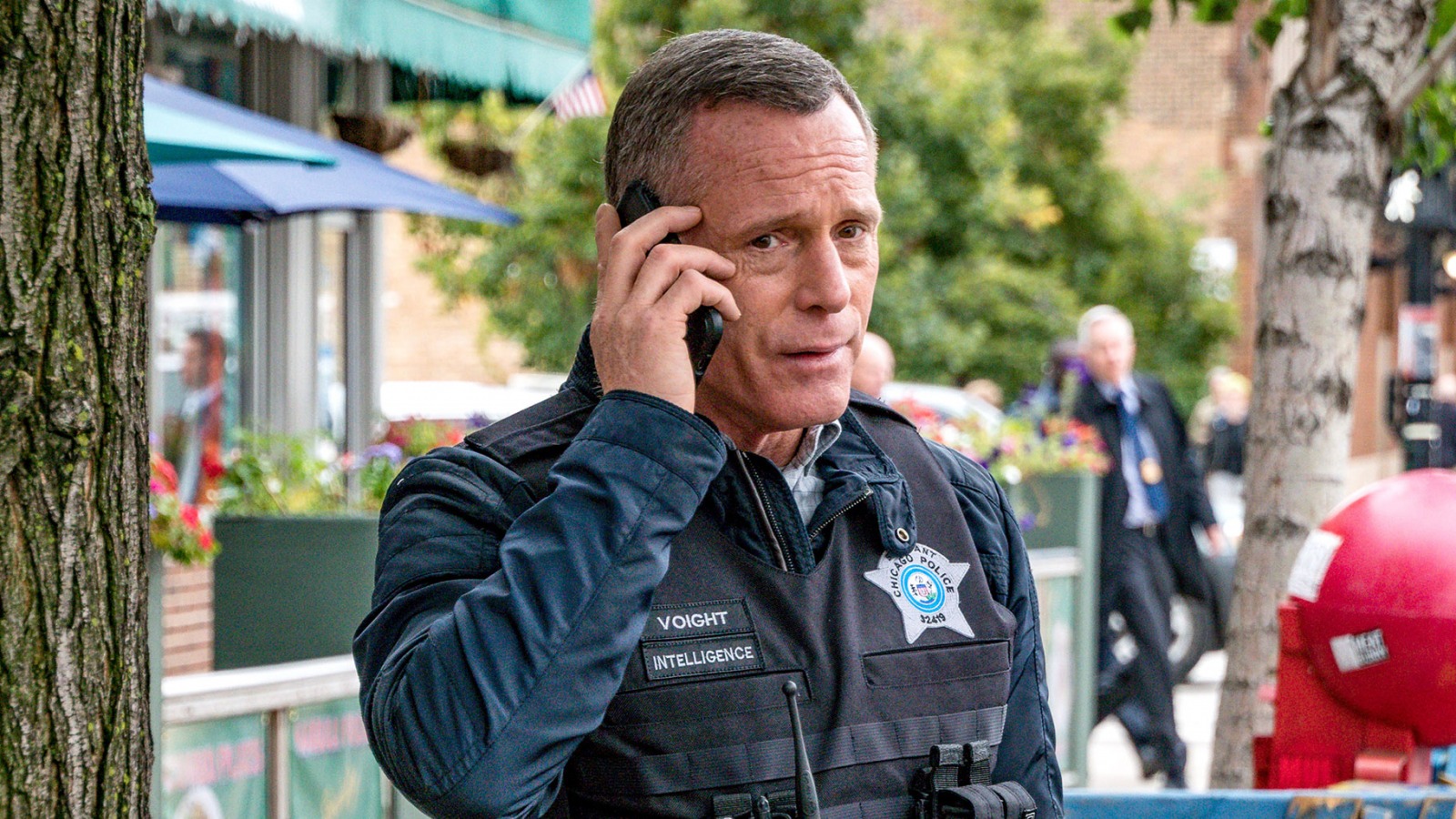 Why One Chicago's Hank Voight Looks So Familiar