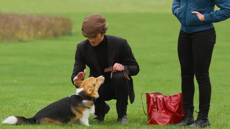 Man petting a corgi