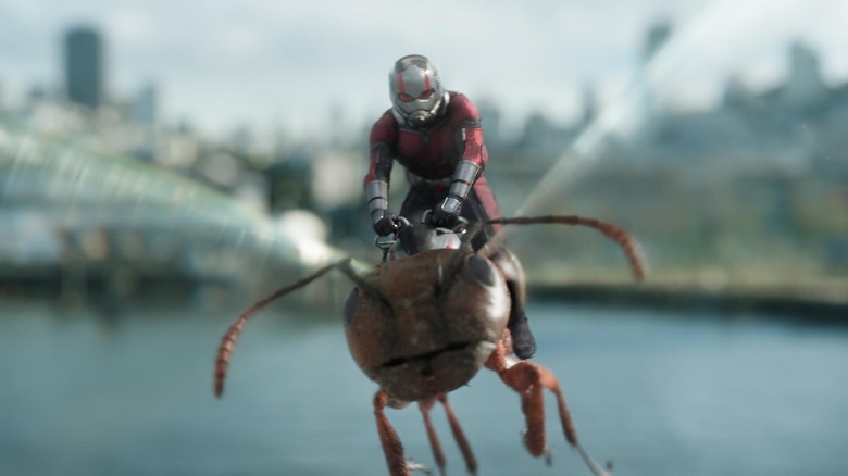 Ant-Man rides Anthony the Ant