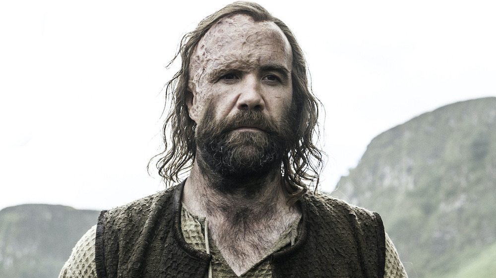 The Hound Rory McCann mountains somber