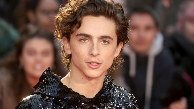 Timothee Chalamet in sequin suit