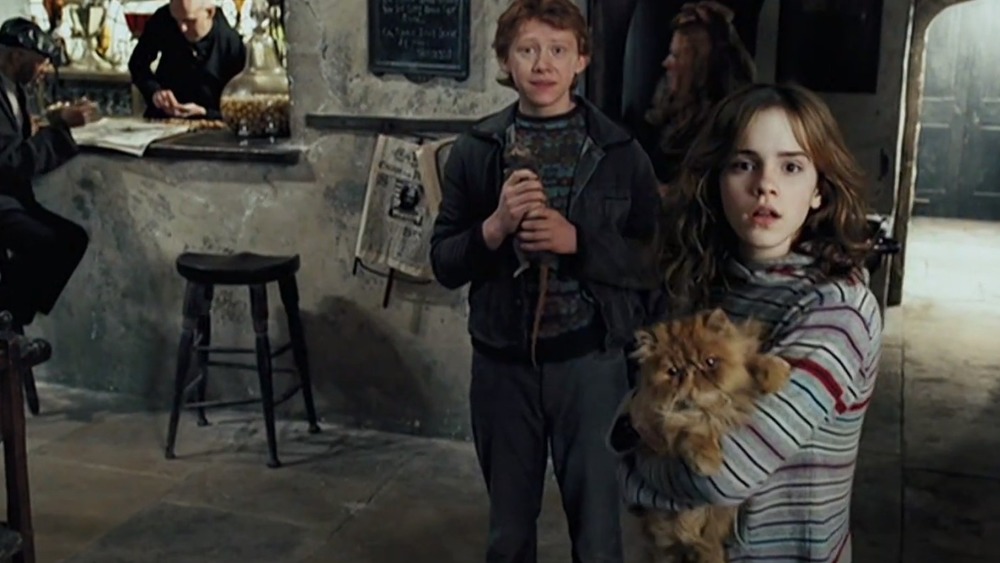 Hermione and Ron holding pets