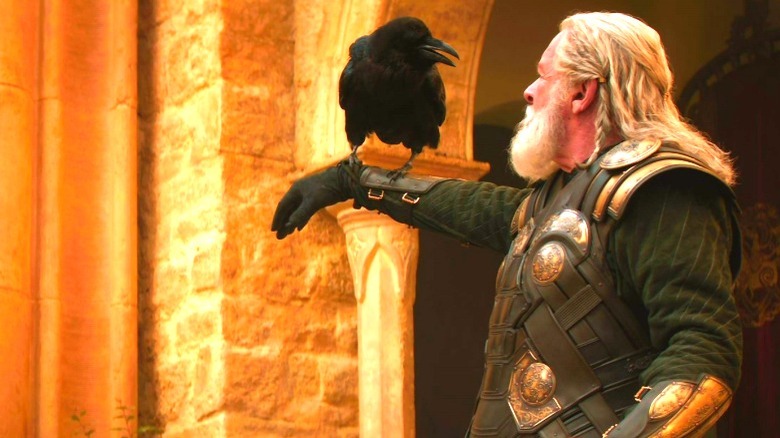 A raven landing on Odin's arm in Thor: The Dark World