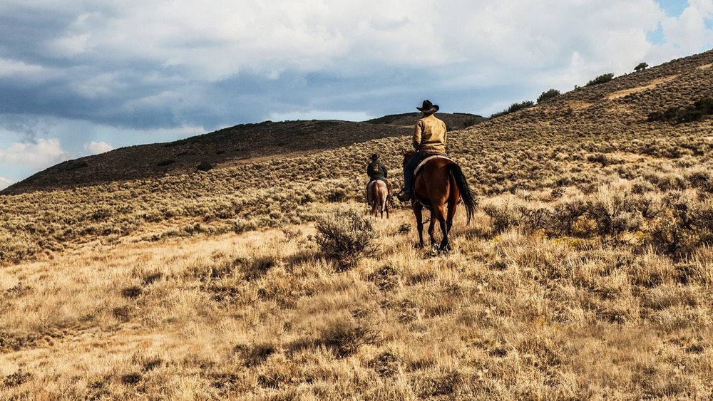 Cowboys on horses Yellowstone