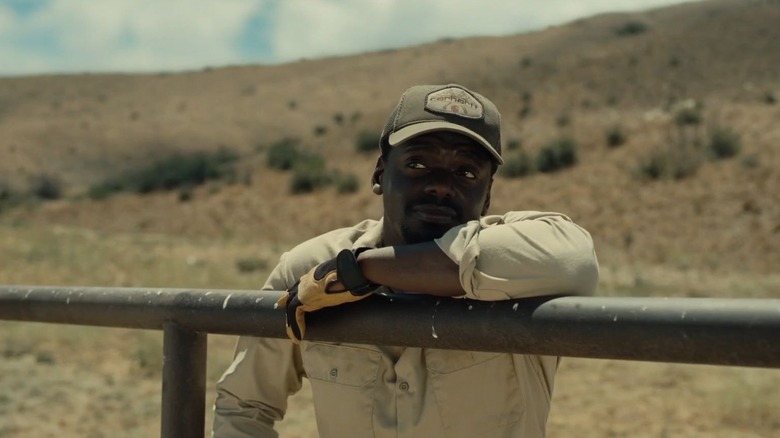 OJ Haywood looking at the horses